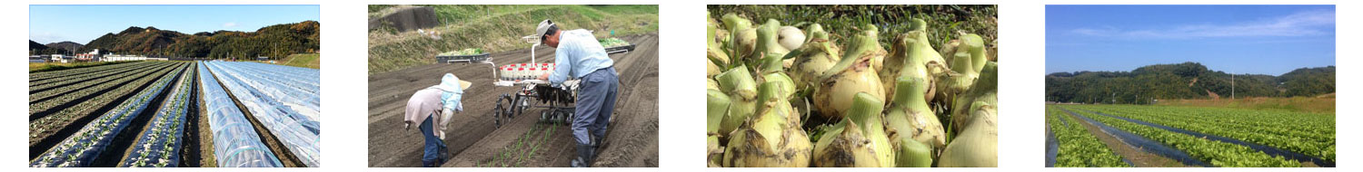 淡路島の木田ファームの様子