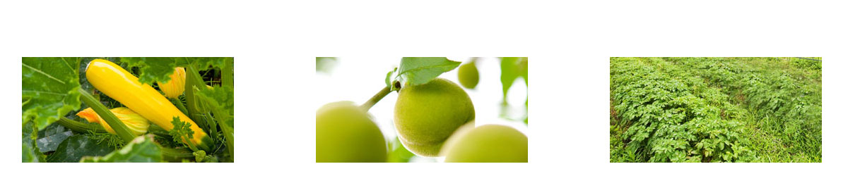 神戸押部谷の産物